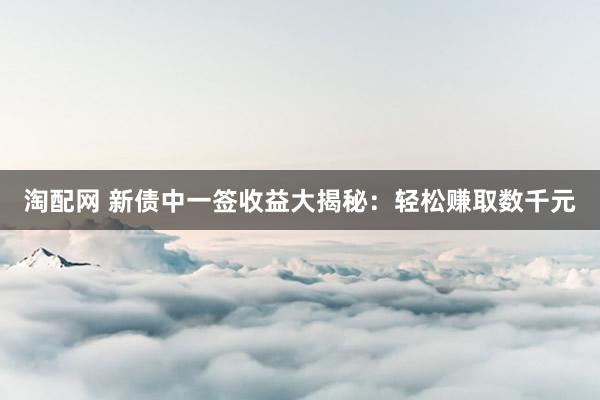 淘配网 新债中一签收益大揭秘：轻松赚取数千元