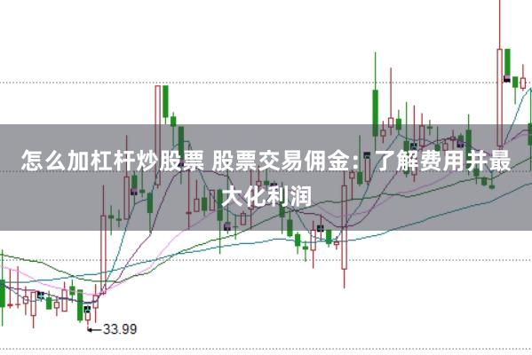 怎么加杠杆炒股票 股票交易佣金：了解费用并最大化利润