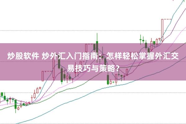 炒股软件 炒外汇入门指南：怎样轻松掌握外汇交易技巧与策略？