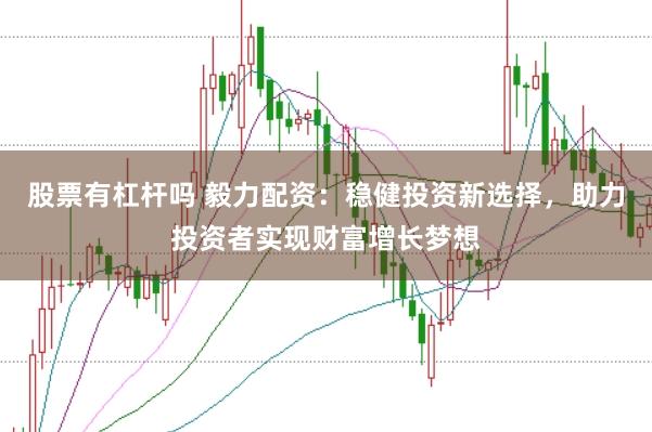 股票有杠杆吗 毅力配资：稳健投资新选择，助力投资者实现财富增长梦想