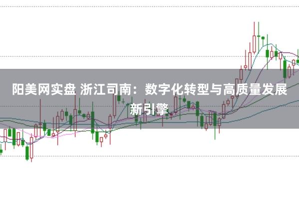 阳美网实盘 浙江司南：数字化转型与高质量发展新引擎