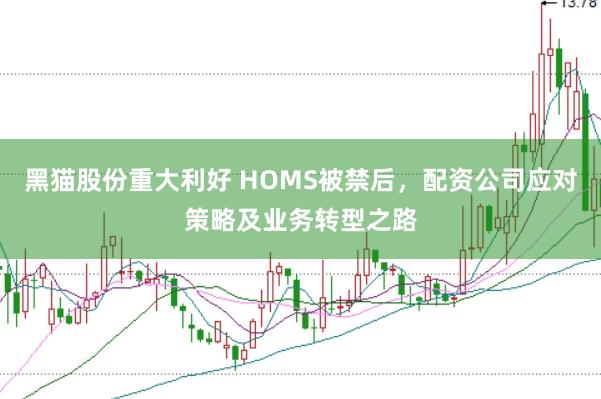 黑猫股份重大利好 HOMS被禁后，配资公司应对策略及业务转型之路