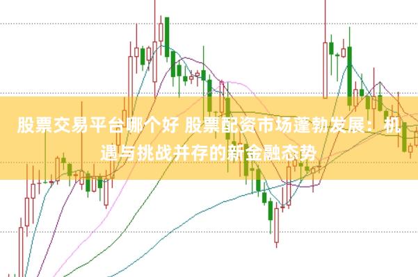 股票交易平台哪个好 股票配资市场蓬勃发展：机遇与挑战并存的新金融态势