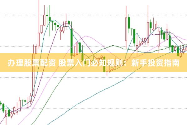 办理股票配资 股票入门必知规则：新手投资指南