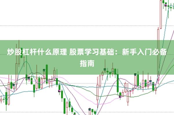 炒股杠杆什么原理 股票学习基础：新手入门必备指南