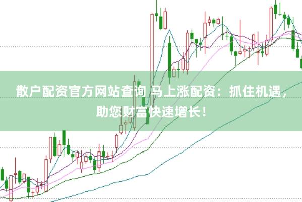 散户配资官方网站查询 马上涨配资：抓住机遇，助您财富快速增长！