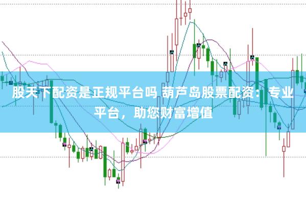 股天下配资是正规平台吗 葫芦岛股票配资：专业平台，助您财富增值