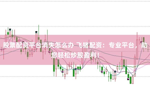 股票配资平台消失怎么办 飞猪配资：专业平台，助您轻松炒股盈利！