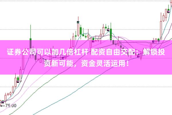 证券公司可以加几倍杠杆 配资自由交配：解锁投资新可能，资金灵活运用！