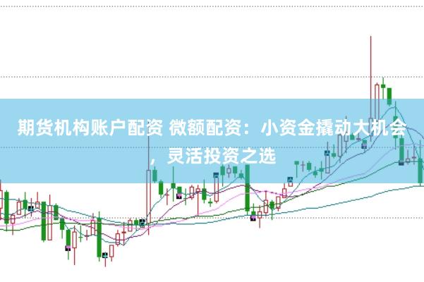 期货机构账户配资 微额配资：小资金撬动大机会，灵活投资之选