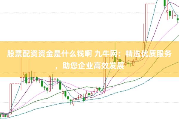 股票配资资金是什么钱啊 九牛网：精选优质服务，助您企业高效发展