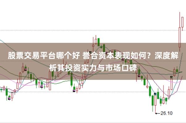股票交易平台哪个好 誉合资本表现如何？深度解析其投资实力与市场口碑