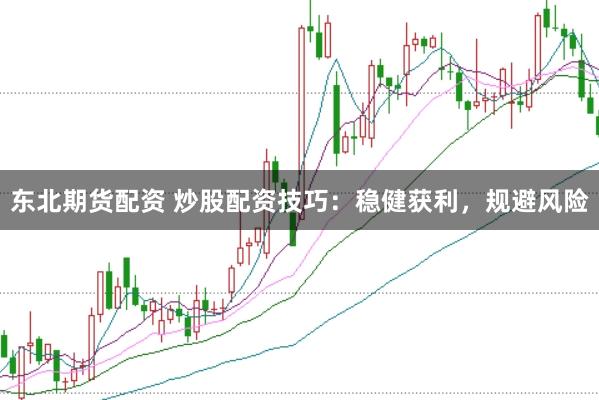 东北期货配资 炒股配资技巧：稳健获利，规避风险
