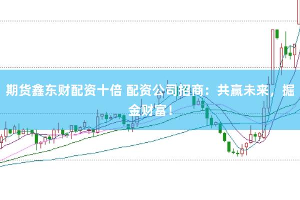期货鑫东财配资十倍 配资公司招商：共赢未来，掘金财富！