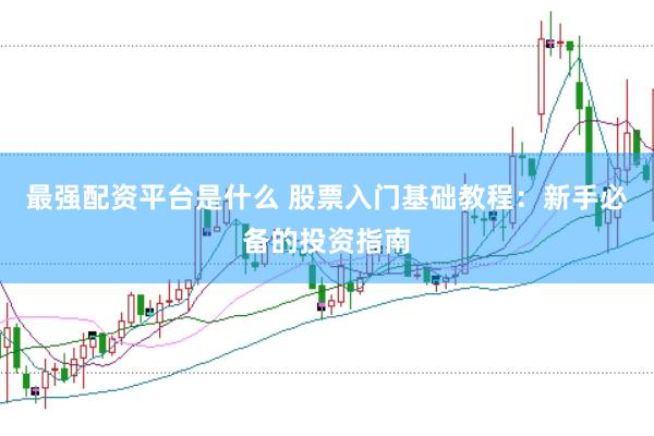 最强配资平台是什么 股票入门基础教程：新手必备的投资指南