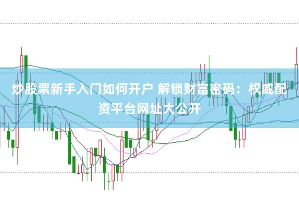 炒股票新手入门如何开户 解锁财富密码：权威配资平台网址大公开
