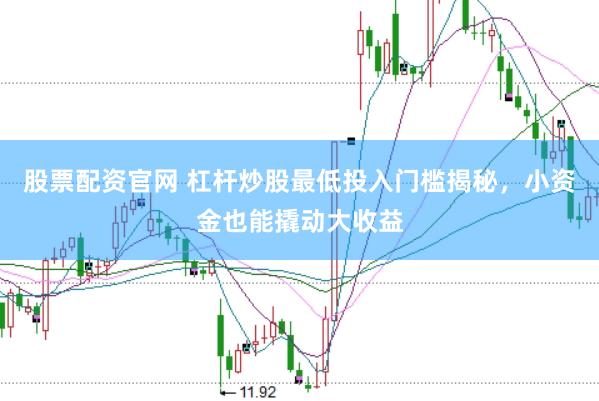 股票配资官网 杠杆炒股最低投入门槛揭秘，小资金也能撬动大收益