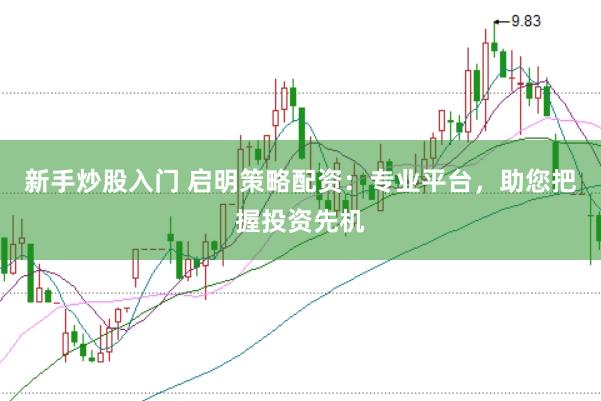 新手炒股入门 启明策略配资：专业平台，助您把握投资先机