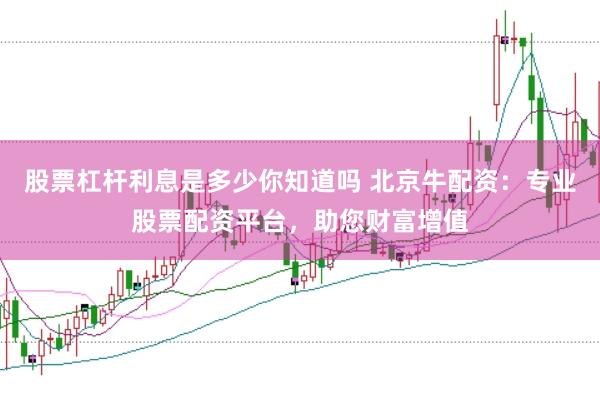 股票杠杆利息是多少你知道吗 北京牛配资：专业股票配资平台，助您财富增值