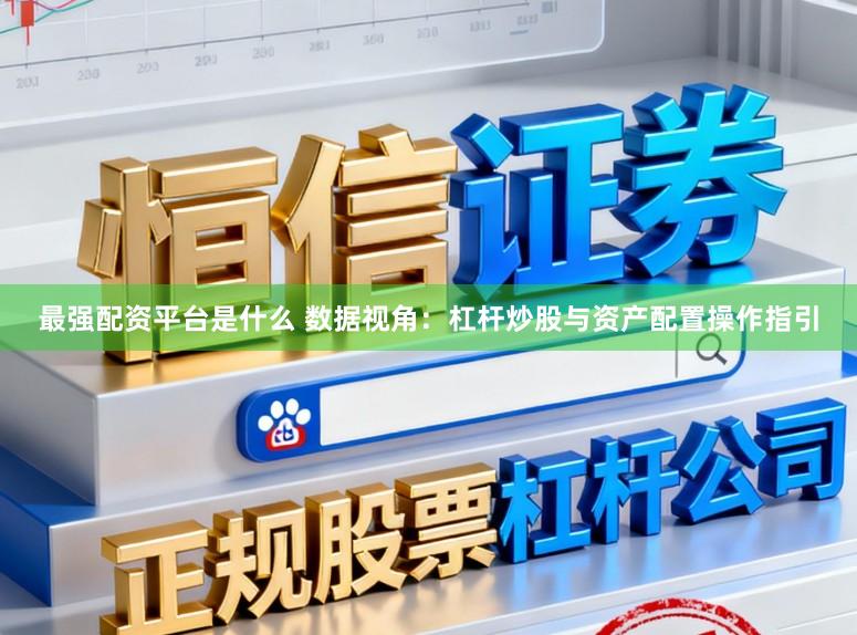 最强配资平台是什么 数据视角：杠杆炒股与资产配置操作指引